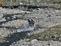 red-bull-romaniacs-2013-48