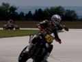 ariciu-rorace-11