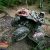 Cronica Cupei de ATV Vânează Lupul – Băișoara, CJ 12-16.05.2025 Cronica Cupei de ATV Vânează Lupul – Băișoara, CJ 12-16.05.2025