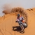 Emanuel Gyenes – Raliul Dakar 2023 – Cronica primelor opt zile de concurs Emanuel Gyenes – Raliul Dakar 2023 – Cronica primelor opt zile de concurs