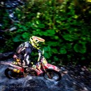 Ultima etapa CNIR Hard-Enduro, Lupeni 11-13 septembrie