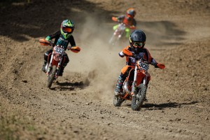 TNS_0395